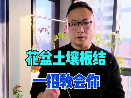 土壤板结不透气一招教会你#养花人 #养花小知识 #花卉绿植 #家庭养花 #花卉养护