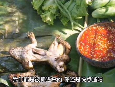 坐井观天续编故事
四下期末考作文题