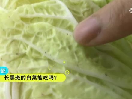 长黑斑的白菜吃起来有顾虑?看看专家怎么说#三农小知识 #科普 @抖音青少年