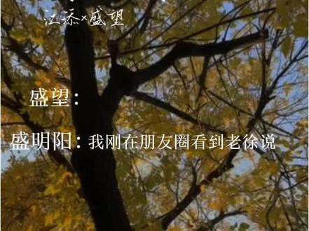 你们终于幸福了,所有质疑都为你们爱情的坚贞让路,都被接受。#江添盛望 #某某#广播剧#爱