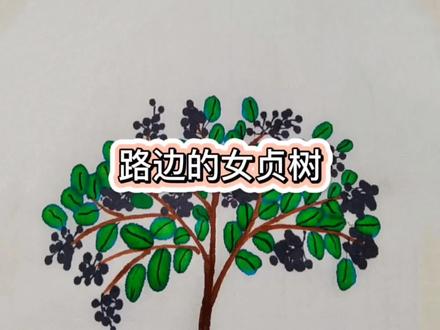 #萌知计划 路边的女贞树,悄悄的变化着,你发现了吗?#行道树#零基础学画画 #学前教育 #育儿 @抖音青少年 @DOU+小助手