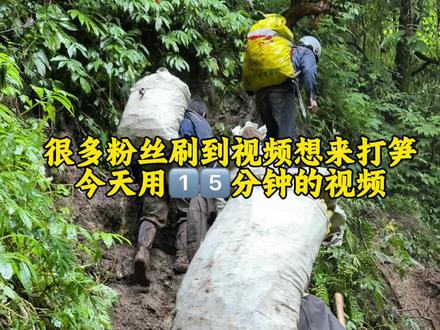 好多朋友看完视频,都想来进山打笋。今天不带你们看收获,带你们看看背后有多苦。一走就是好几个小时的山路,走到腿软。这份钱看着还行,真不是一般人能挣的。风光视频只是片段,辛苦才是日常。却看不到脚下漫长山路一走几小时,走到腿软 这份辛苦钱,真不是谁都能赚 山里的钱,看着简单,真不是一般人能挣。所有收获,全是一步一步熬出来的#打笋日常 #记录生活