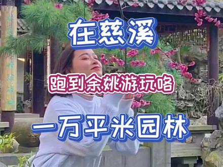 想不到慈溪附近竟藏着一个人间仙境~1万㎡苏式园林火了火了~ #慈溪 #余姚 #游玩 #中式庭院