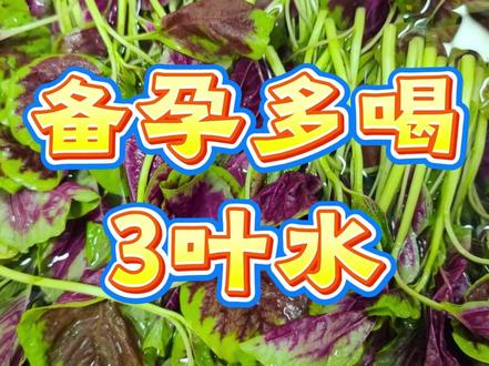 想要自然怀孕,3片叶子煮着喝。#备孕 #难怀 #生孩子