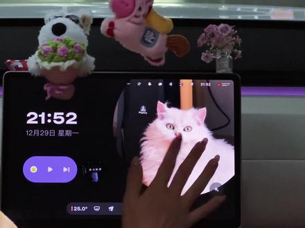 发光小队的小猫小狗氛围环主题和自定义壁纸设置教程来啦,大家更新好系统都快设置起来吧!上传壁纸教程放在评论区哦#firefly萤火虫 #萤火虫新系统 #萤火虫自定义壁纸 #小猫咪