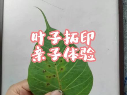 简单好玩的叶子拓印画,可以和家里小朋友一起体验起来!#零基础教学 #一起学画画 #拓印画