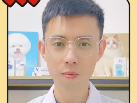 狗狗关节问题最全面解答#狗狗突然腿瘸 #狗狗髌骨脱位