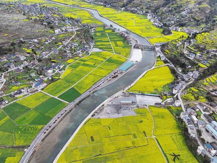 赶紧来我们狮溪看油菜花了#溪舍小院 #海影传媒 #桐梓村晚 #狮溪镇