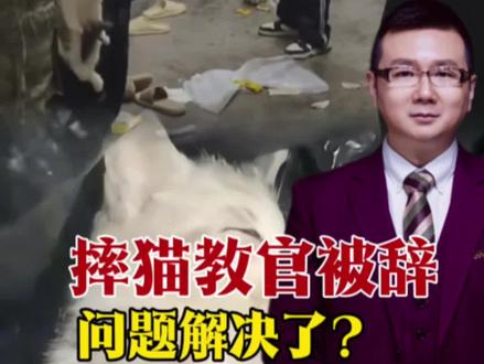 学生言语刺激,教官怒火摔猫:无辜生命沦为权力博弈筹码!#教体局回应查寝教官摔死猫
