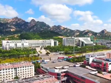 滨海学院:你就是个弟弟 #青岛黄海学院#山东生活日记#山东#青岛#大学生#学生 #高考@抖音小助手