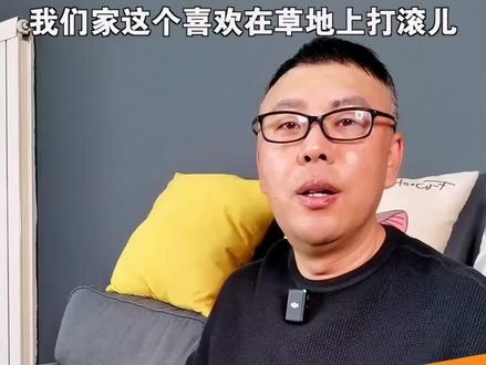 你家狗狗喜欢在草地上打滚吗?#狗狗 #科学养宠攻略 #宠物 #遛狗 #金毛