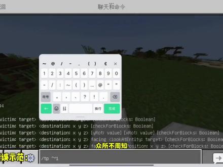 我的世界:指令教程(tp篇)#我的世界 #指令教程