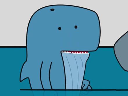 如果你是一头抹香鲸,你的生活会是什么样的? #抹香鲸 #海洋生物