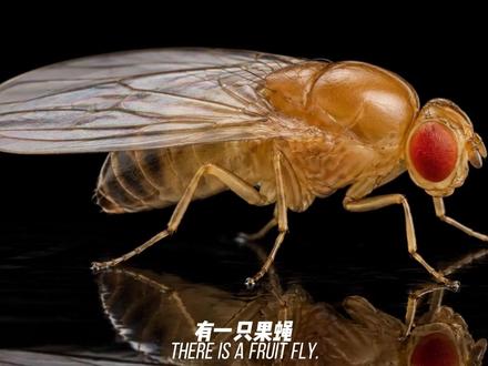 我们活在模拟世界吗? #青年创作者成长计划 #宇宙奥秘 #宇宙 #知识前沿派对 #知识科普