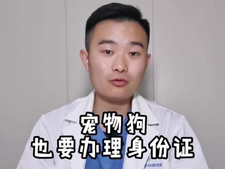 宠物狗也要办理身份证#郑州办犬证 #文明养犬 #郑州办狗证