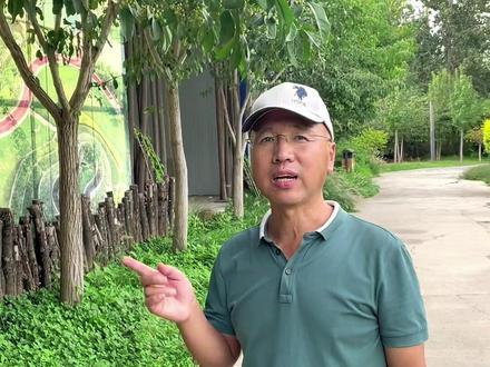 狭长叶、圆叶#丝棉木,绿叶时间长,观赏效果好,地产园林、市政园林均有应用。#园林景观