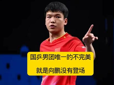 国乒男团唯一的遗憾就是向鹏没有登场打比赛 #国乒 #向鹏