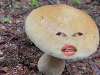 不 要 一 大 早 拍 天 津 蘑 菇 #充能计划 #声优都是怪物