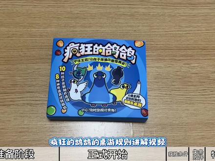 《疯狂的鸽鸽》玩法视频