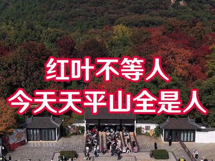 红叶不等人,今天天平山全是人 天平山的枫叶红了,这份保姆级攻略请收好,周末想冲的小伙伴,收藏这一条就够啦! #苏州天平山 #红枫 #枫叶 #观枫 #苏州旅游