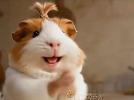 妞妞做的霉豆腐终于做好啦#霉豆腐 #农村生活 #毛豆腐 #在家自制毛豆腐也太好玩了