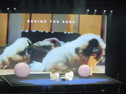 pp上海见面会《就范》幕后花絮#ppkritt #BKPP #pp上海见面会 #见面会 #线下