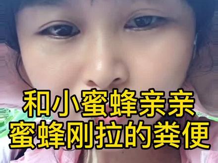 这个小蜜蜂太喜欢我了一直亲亲不肯走,蜜蜂刚拉的粪便,就是花粉