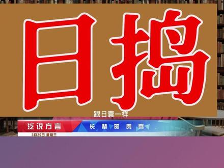 丈人羔子,日捣,长辈的责骂声#方言配音 #民俗文化