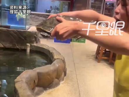 女子抱甲鱼挑逗被咬嘴唇,朋友:查了,不用打针,“她本人很生气!”