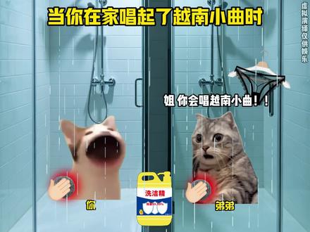 当你在家唱起了越南小曲时 #猫meme #音乐 #aiđưaemvề #低皮质醇