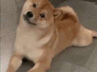 已经完全沉浸在“粉色的液体”里走不出来了#和姐妹们一起喝点粉色的液体 #粉色的液体#抽象 #桂香 素材来源:@桂香GuiXiang