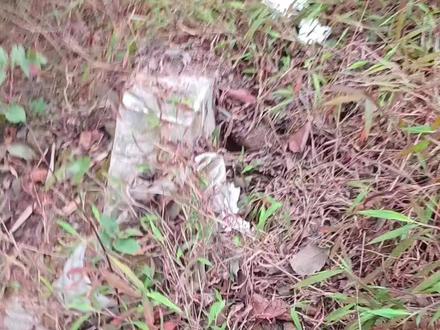 一招让你几年不来蜂的桶,几天或者几个星期就来蜂,我这个桶刚刚刷上诱蜂膏,就有侦查蜂飞进去了 #蜜蜂 农蜂有财 #蜂有财诱蜂膏 #三农 #蜜蜂