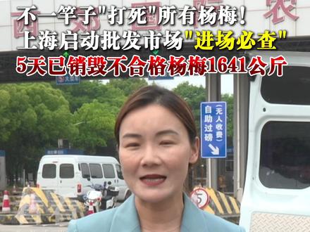 不一竿子"打死"所有杨梅!#上海启动杨梅进场必查 #上海5天销毁不合格杨梅1641公斤 #药水杨梅 #直击第一线