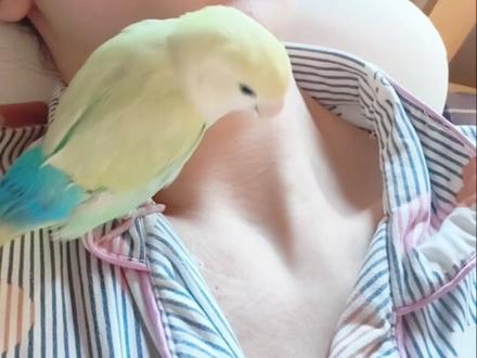 哈哈哈哈哈哈哈哈哈哈哈哈哈哈哈哈乐死我了#美食小技巧 #一般人不告诉他 #馋哭了 #牡丹鹦鹉