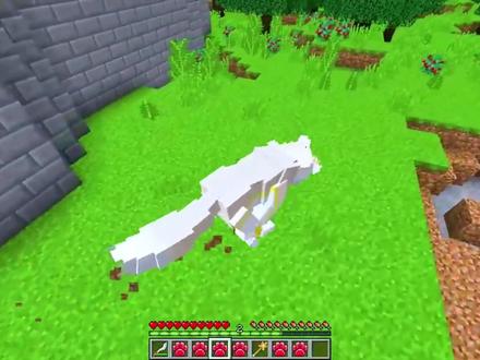 我的世界:小米蕉剥夺了铁柱的邪恶狼人力量,保护我的世界和平 #我的世界 #小米蕉游戏解说