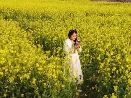 禹州市三峰山赏油菜花海之游玩攻略 #油菜花 #踏青