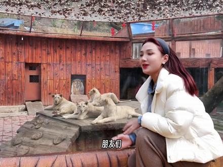 咱大遵义的动物园终于重整亮相啦~都有些什么呢?一条视频实拍剧透!2.7号正式开园迎客~#遵义动物园 #亲子游玩好去处 #遵义吃喝玩乐 #宝妈推荐