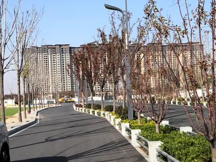 海狮06新车提回家,车机这8个功能要打开! 海狮06买回来只后,车机上有这么多功能,到底哪些功能是需要打开的,我总结出了8个比较好用的功能,用车知识分享今天是第30期,下面一个视频带你操作一遍!#海狮06 #比亚迪 #车机功能 #提新车 #新能源汽车