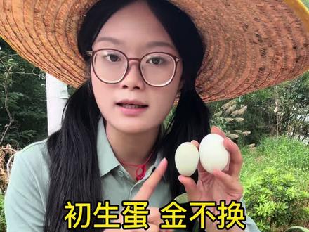你吃过鸡妈妈产出来的第一窝鸡蛋吗?头窝蛋好在哪里?#绿壳蛋 #初生蛋 #头窝蛋 #土鸡蛋 #张大炮