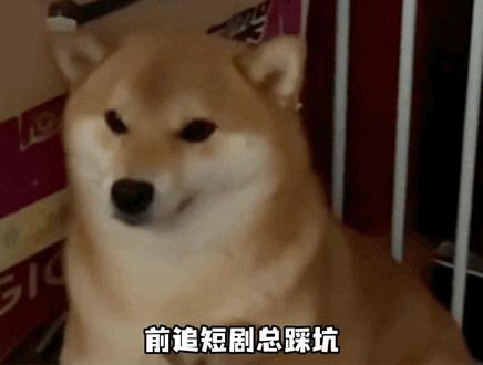 以后再也不怕剧荒了 #悟空浏览器