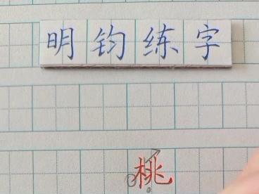 笔顺矫正(七):桃
“桃”字书写重点讲解#手写 #硬笔书法