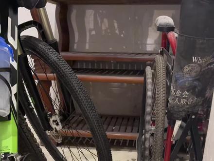 继续来更新小怂包后续啦,主包已成为训咪高手,谢谢ee们分享养猫经验
#捡猫 #手慢无#领养代替购买 #流浪猫 #铲屎官和他的主人