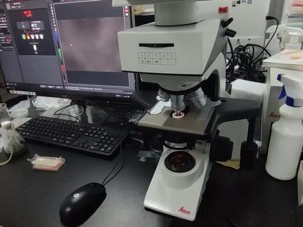 我们来看看血球计数板和显微镜怎么使用~ #实验室日常 #机器视觉 #显微镜 #科研狗的日常