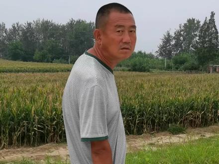 在汉江边长大,从河东到河西,明明有四宽八大的公路,偏偏走大堤,还走走停停,靠近河边看水质,看流速快不快。
河床比我们小时候窄了很多,河水不仅从河滩流过,也从我们的心田流过。路上我们买了好吃的菜瓜,还想着带一点到山东,山东也有这种瓜,但没有我们这里的瓜脆甜。