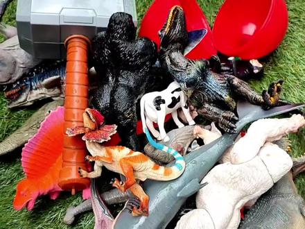 认识甲龙、霸王龙