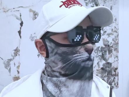 如何利用猫咪身上的bug… 教你利用猫咪身上的这5个bug,让你更好的学会养猫!#养猫经验分享 #猫咪的迷惑行为 #底层代码 #猫咪 #新手养猫