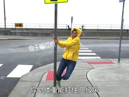 0-12级风力等级,你的体重能抗几级? #体重 #萌知计划 #有趣的知识又增加了 #大风