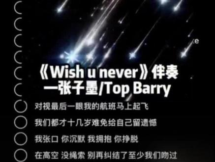 wish u never“我们都才十几岁难免给自己留遗憾”#Topbarry#说唱#翻唱