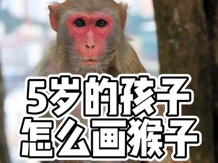 五岁的小朋友怎么画猴子,今天我们一起来听听!#创意美术 #儿童美术 #手绘 #美术课件 #绘画 #画画 #猴子