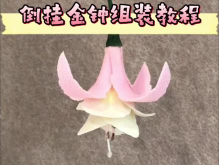 建议收藏🌟保姆级拼豆立体花组装教程! #拼豆 #拼豆教程